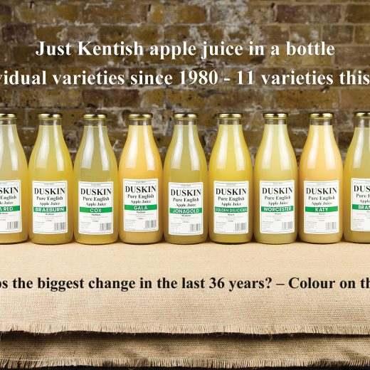 Duskin 40 Years Advert